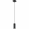 Luminaires Globo Lighting Suspensions|Suspension Globo ROBBY Noir, 1 lumière