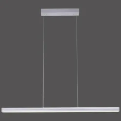 Luminaires Leuchten Direkt Suspensions|Suspension Leuchten-Direkt NIRO LED Nickel mat, 2 lumières