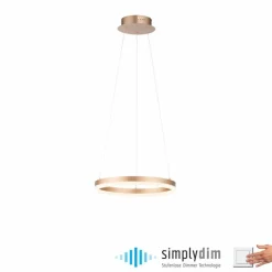 Luminaires Paul Neuhaus Éclairage Led|Suspension Leuchten-Direkt TITUS LED Laiton, 1 lumière