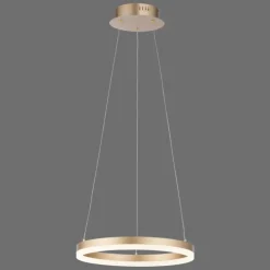 Luminaires Paul Neuhaus Éclairage Led|Suspension Leuchten-Direkt TITUS LED Laiton, 1 lumière