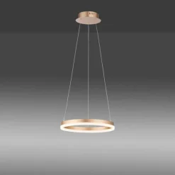 Luminaires Paul Neuhaus Éclairage Led|Suspension Leuchten-Direkt TITUS LED Laiton, 1 lumière