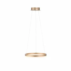 Luminaires Paul Neuhaus Éclairage Led|Suspension Leuchten-Direkt TITUS LED Laiton, 1 lumière
