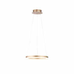 Luminaires Paul Neuhaus Éclairage Led|Suspension Leuchten-Direkt TITUS LED Laiton, 1 lumière