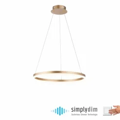 Luminaires Paul Neuhaus Éclairage Led|Suspension Leuchten-Direkt TITUS LED Laiton, 1 lumière