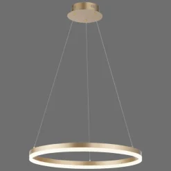 Luminaires Paul Neuhaus Éclairage Led|Suspension Leuchten-Direkt TITUS LED Laiton, 1 lumière