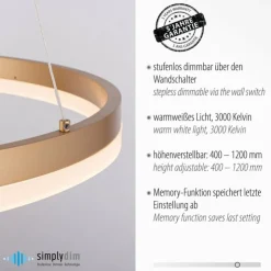 Luminaires Paul Neuhaus Éclairage Led|Suspension Leuchten-Direkt TITUS LED Laiton, 1 lumière