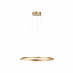 Luminaires Paul Neuhaus Éclairage Led|Suspension Leuchten-Direkt TITUS LED Laiton, 1 lumière