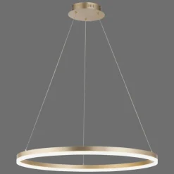 Luminaires Paul Neuhaus Éclairage Led|Suspension Leuchten-Direkt TITUS LED Laiton, 1 lumière