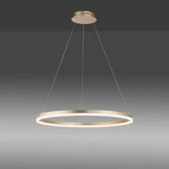 Luminaires Paul Neuhaus Éclairage Led|Suspension Leuchten-Direkt TITUS LED Laiton, 1 lumière
