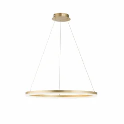 Luminaires Paul Neuhaus Éclairage Led|Suspension Leuchten-Direkt TITUS LED Laiton, 1 lumière