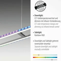 Luminaires Leuchten Direkt Éclairage Led|Suspension Leuchten-Direkt FELIX60 LED Acier brossé, 2 lumières, Télécommandes, Changeur de couleurs