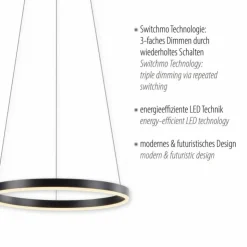 Luminaires Leuchten Direkt Éclairage Led|Suspension Leuchten-Direkt RITUS LED Anthracite, 1 lumière