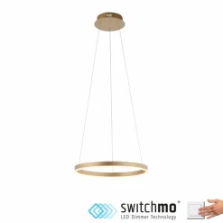 Luminaires Leuchten Direkt Suspensions|Suspension Leuchten-Direkt RITUS LED Laiton, 1 lumière