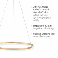 Luminaires Leuchten Direkt Éclairage Led|Suspension Leuchten-Direkt RITUS LED Laiton, 1 lumière