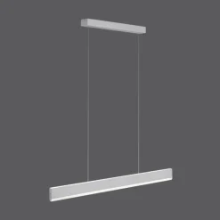 Luminaires Paul Neuhaus Éclairage Led|Suspension Paul Neuhaus ARINA LED Acier inoxydable, 2 lumières, Détecteur de mouvement