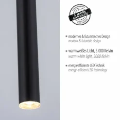 Luminaires Paul Neuhaus Éclairage Led|Suspension Paul Neuhaus FLUTE LED Noir, 1 lumière