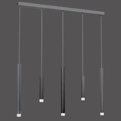 Luminaires Paul Neuhaus Suspensions|Suspension Paul Neuhaus PURE-GEMIN LED Aluminium, Noir, 5 lumières