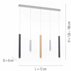 Luminaires Paul Neuhaus Éclairage Led|Suspension Paul Neuhaus PURE-GEMIN LED Aluminium, Laiton, Noir, 5 lumières