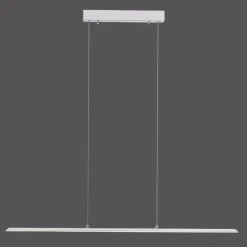Luminaires Paul Neuhaus Éclairage Led|Suspension Paul Neuhaus PURE-LITE LED Acier inoxydable, 1 lumière
