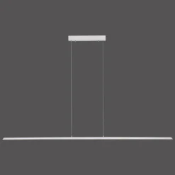Luminaires Paul Neuhaus Éclairage Led|Suspension Paul Neuhaus PURE-LITE LED Acier inoxydable, 1 lumière