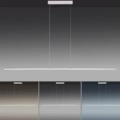 Luminaires Paul Neuhaus Éclairage Led|Suspension Paul Neuhaus PURE-LITE LED Acier inoxydable, 1 lumière