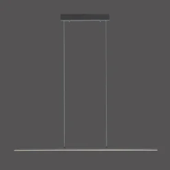 Luminaires Paul Neuhaus Éclairage Led|Suspension Paul Neuhaus PURE-LITE LED Anthracite, 1 lumière