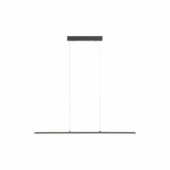 Luminaires Paul Neuhaus Éclairage Led|Suspension Paul Neuhaus PURE-LITE LED Anthracite, 1 lumière