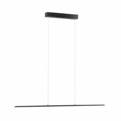 Luminaires Paul Neuhaus Éclairage Led|Suspension Paul Neuhaus PURE-LITE LED Anthracite, 1 lumière