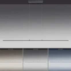 Luminaires Paul Neuhaus Éclairage Led|Suspension Paul Neuhaus PURE-LITE LED Anthracite, 1 lumière