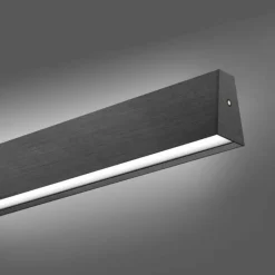 Luminaires Paul Neuhaus Éclairage Led|Suspension Paul Neuhaus PURE E-MOTION LED Gris, 1 lumière, Télécommandes