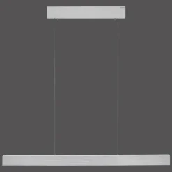 Luminaires Paul Neuhaus Éclairage Led|Suspension Paul Neuhaus PURE E-MOTION LED Argenté, 1 lumière, Télécommandes