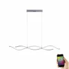 Suspension Paul Neuhaus Q-MALINA LED Nickel mat, 2 lumières, Télécommandes