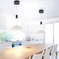 Suspension Paul Neuhaus Q-ETIENNE LED Noir, 1 lumière, Télécommandes