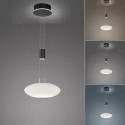 Suspension Paul Neuhaus Q-ETIENNE LED Noir, 1 lumière, Télécommandes