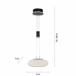 Suspension Paul Neuhaus Q-ETIENNE LED Noir, 1 lumière, Télécommandes