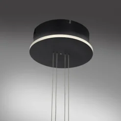 Suspension Paul Neuhaus Q-ETIENNE LED Noir, 1 lumière, Télécommandes
