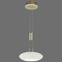 Suspension Paul Neuhaus Q-ETIENNE LED Laiton, 1 lumière, Télécommandes