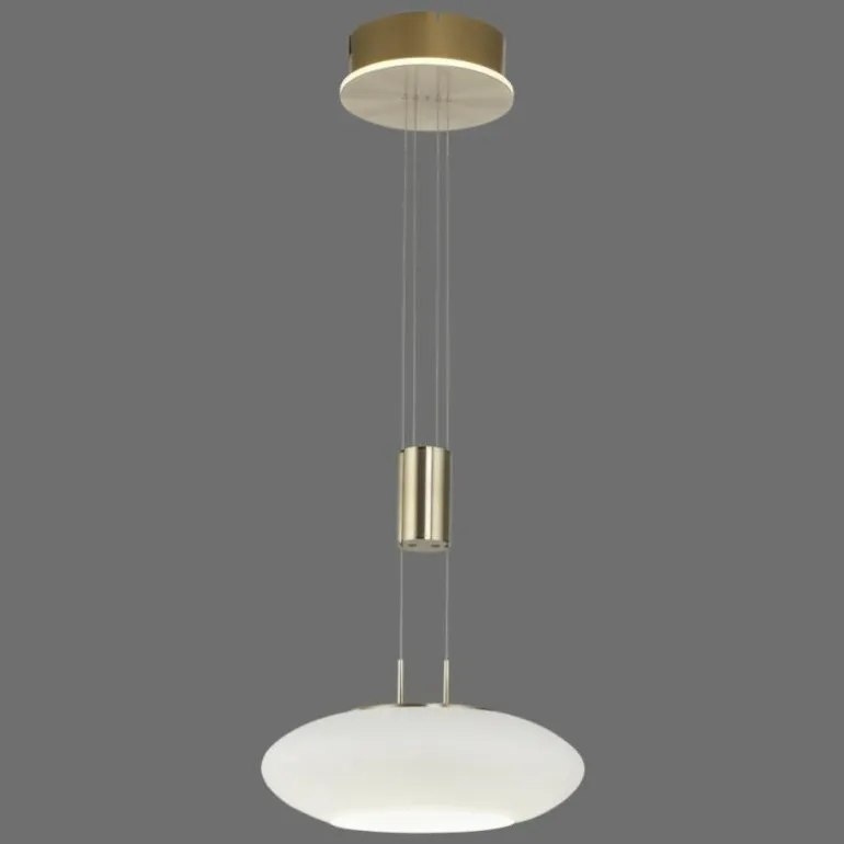 Suspension Paul Neuhaus Q-ETIENNE LED Laiton, 1 lumière, Télécommandes
