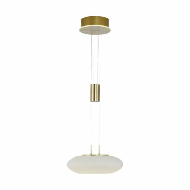 Suspension Paul Neuhaus Q-ETIENNE LED Laiton, 1 lumière, Télécommandes