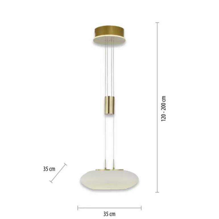 Suspension Paul Neuhaus Q-ETIENNE LED Laiton, 1 lumière, Télécommandes