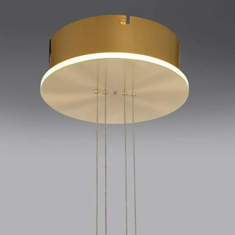 Suspension Paul Neuhaus Q-ETIENNE LED Laiton, 1 lumière, Télécommandes