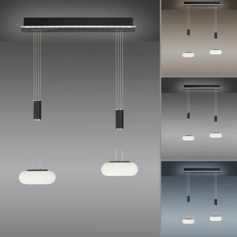 Suspension Paul Neuhaus Q-ETIENNE LED Noir, 2 lumières, Télécommandes
