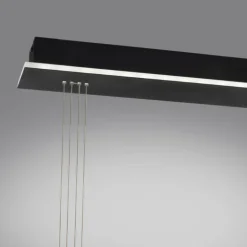 Suspension Paul Neuhaus Q-ETIENNE LED Noir, 2 lumières, Télécommandes