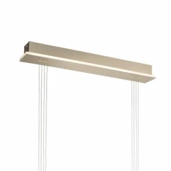 Suspension Paul Neuhaus Q-ETIENNE LED Laiton, 2 lumières, Télécommandes