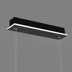 Suspension Paul Neuhaus Q-ETIENNE LED Noir, 4 lumières, Télécommandes