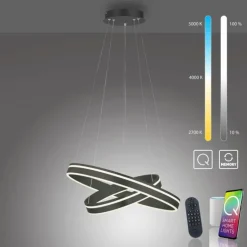 Suspension Paul Neuhaus Q-VITO LED Anthracite, 1 lumière, Télécommandes