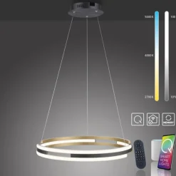 Suspension Paul Neuhaus Q-BELUGA LED Or, 1 lumière, Télécommandes