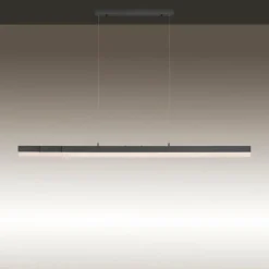 Luminaires Paul Neuhaus Éclairage Led|Suspension Paul Neuhaus SINA LED Noir, 3 lumières
