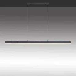 Luminaires Paul Neuhaus Éclairage Led|Suspension Paul Neuhaus SINA LED Noir, 3 lumières