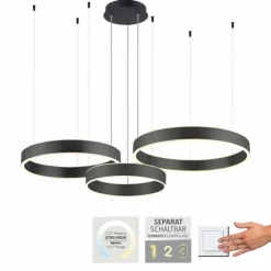 Luminaires Paul Neuhaus Suspensions|Suspension Paul Neuhaus SCULLI LED Noir, 2 lumières